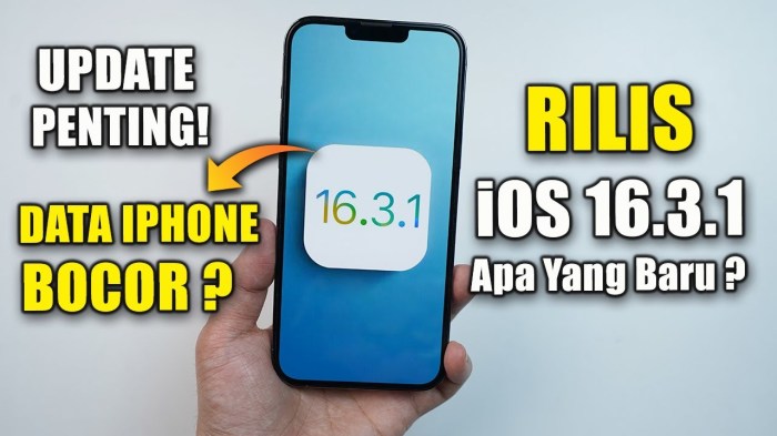 Update iOS Terbaru: Apa Saja yang Berubah?