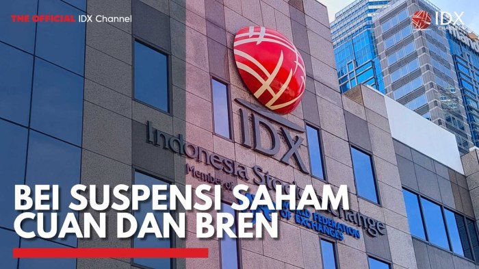 Pengumuman Terbaru MSCI Bikin Harga Saham BREN, PTRO, dan CUAN Langsung Rontok