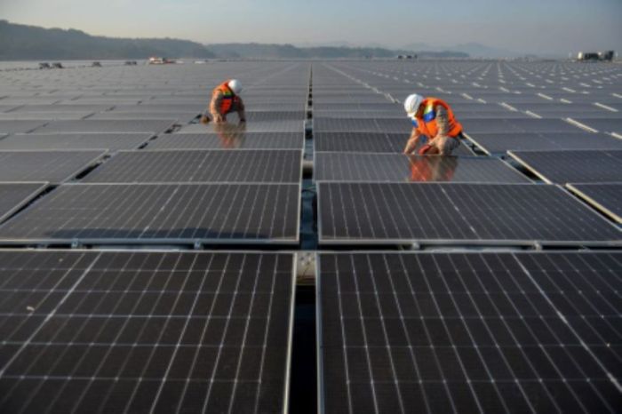 PLN Gandeng Investor Global Bangun PLTS Terbesar di Asia