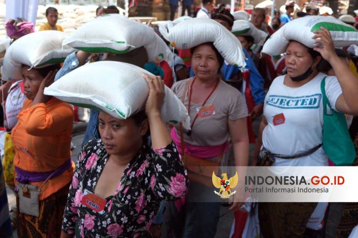 Pemerintah Siapkan Program Bantuan Pangan Nasional