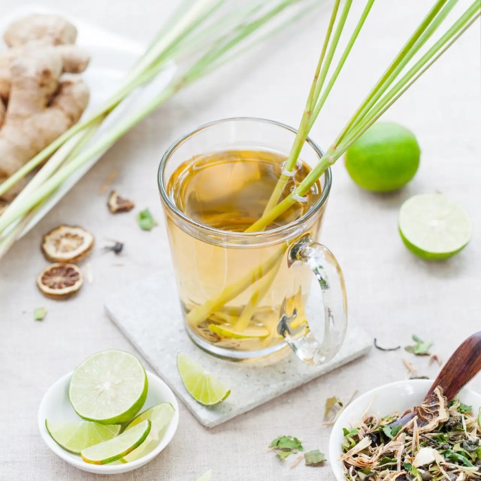 5 Minuman Herbal untuk Jaga Kesehatan di Musim Hujan – berandasehat.id Minuman Herbal yang Cocok untuk Gaya Hidup Aktif