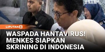 Hantavirus Waspada, Kemenkes Siapkan Tes Cepat dan PCR!