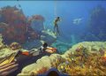 Subnautica 2 Terjual 2 Juta Kopi dalam 12 Jam dengan Taruhan USD 250 Juta