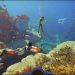 Subnautica 2 Terjual 2 Juta Kopi dalam 12 Jam dengan Taruhan USD 250 Juta