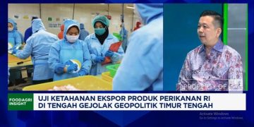 Strategi Eksportir Udang Lindungi Pembeli di AS dan Eropa di Tengah Perang