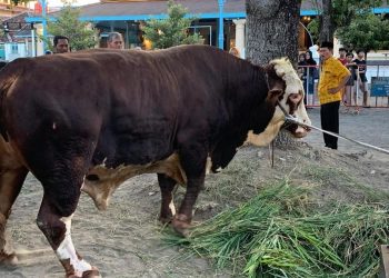 DPR Bahas Bantuan Kurban Prabowo Menggunakan APBN Untuk Bantu Masyarakat