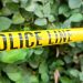 Misteri Pria Purapura Kerja Bikin IRT Pingsan di Bogor