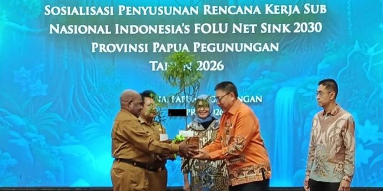 Papua Pegunungan Diajak Berpartisipasi dalam Penanaman Pohon untuk Jaga Hutan