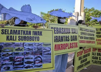 Peringati Hari Lingkungan Hidup Sedunia, Aktivis Serukan Kebersihan Sungai