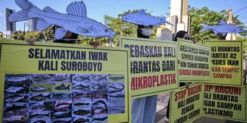 Peringati Hari Lingkungan Hidup Sedunia, Aktivis Serukan Kebersihan Sungai