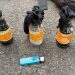 Pembawa Bom Molotov Dalam Demo Mahasiswa Menjadi Tersangka