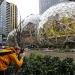 Kritik Proyek AI, Tiga Insinyur Amazon Berisiko Dipecat!