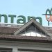 Proyek Hilirisasi Nikel dan Mobil Listrik Antam Siap Terlibat