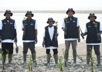 Program BRI Peduli Tanam 24000 Mangrove Bersama Kelompok Tani dan Nelayan