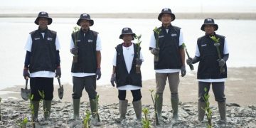 Program BRI Peduli Tanam 24000 Mangrove Bersama Kelompok Tani dan Nelayan