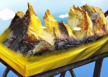 Penemuan Gunung Emas 53 Juta Ton di Kalimantan Menarik Perhatian, Simak Kronologinya