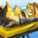 Penemuan Gunung Emas 53 Juta Ton di Kalimantan Menarik Perhatian, Simak Kronologinya