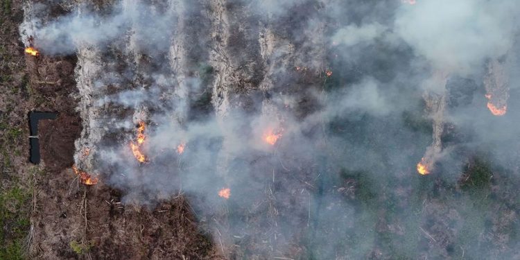 306 Karhutla Tercatat di Sumsel hingga Juli 2026 Menurut BPBD
