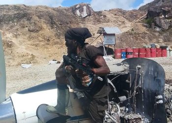 Fakta Penembakan Pilot Warga AS di Papua