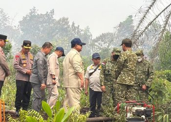 Prabowo Cek Penanganan Kebakaran Hutan di Sumatra Hari Ini