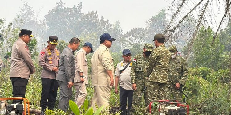 Prabowo Cek Penanganan Kebakaran Hutan di Sumatra Hari Ini