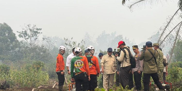 Kebakaran Hutan Kalimantan Terkendali Menurut Prabowo: Situasi Dulu Lebih Parah
