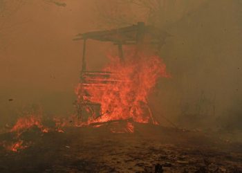 Catatan BPBD 936 Hektare Hutan dan Lahan Terbakar di Kaltim