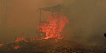 Catatan BPBD 936 Hektare Hutan dan Lahan Terbakar di Kaltim