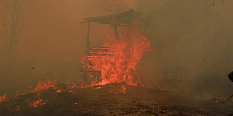 Catatan BPBD 936 Hektare Hutan dan Lahan Terbakar di Kaltim