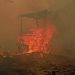 Catatan BPBD 936 Hektare Hutan dan Lahan Terbakar di Kaltim