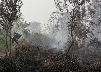 Kebakaran Lahan Kulon Progo, Api Melalap Bendungan Kamijoro