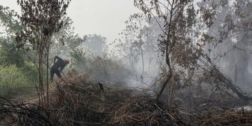 Kebakaran Lahan Kulon Progo, Api Melalap Bendungan Kamijoro