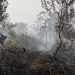 Kebakaran Lahan Kulon Progo, Api Melalap Bendungan Kamijoro