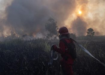Kenaikan Hotspot Karhutla Kalsel, Tambah Pasukan Darat dan Water Bombing