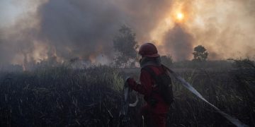 Kenaikan Hotspot Karhutla Kalsel, Tambah Pasukan Darat dan Water Bombing