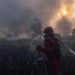 Kenaikan Hotspot Karhutla Kalsel, Tambah Pasukan Darat dan Water Bombing