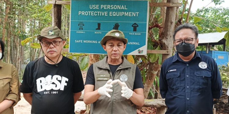 Menhut Ajak Waspada Kebakaran Hutan Meski Titik Panas Menurun
