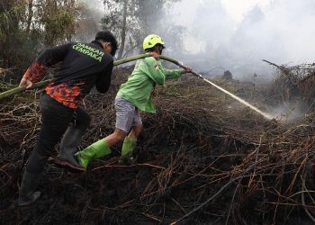 Kebakaran Hutan Sebabkan 50891 Kasus ISPA dalam Dua Bulan