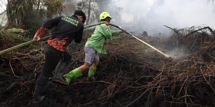 Kebakaran Hutan Sebabkan 50891 Kasus ISPA dalam Dua Bulan
