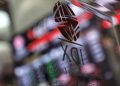 Penundaan IPO Swayasa Prakarsa SWAP dan Penjelasan dari BEI