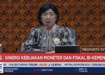 Video Menkeu Suahasil Kunjungi Destry untuk Bahas Sinergi Bank Indonesia