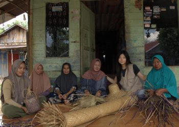 Purun Sebagai Organisator Teknologi, Inovasi Ramah Lingkungan untuk Melindungi Gambut Kalimantan