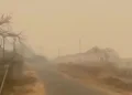 Kebakaran Hutan di Papua Menyebabkan Kabut Asap di Mimika