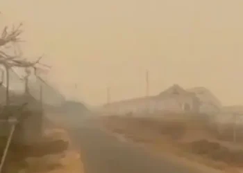Kebakaran Hutan di Papua Menyebabkan Kabut Asap di Mimika