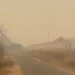 Kebakaran Hutan di Papua Menyebabkan Kabut Asap di Mimika