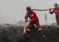 Update Hotspot Kebakaran Hutan Tertinggi di Kalimantan Tengah