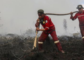 Update Hotspot Kebakaran Hutan Tertinggi di Kalimantan Tengah