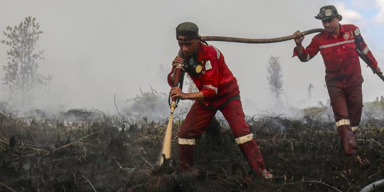 Update Hotspot Kebakaran Hutan Tertinggi di Kalimantan Tengah