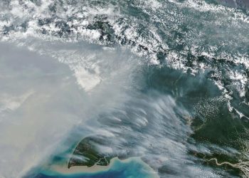 Jumlah Titik Panas Karhutla di Papua Selatan Menurun, Terdapat 65 Hotspot Sisa