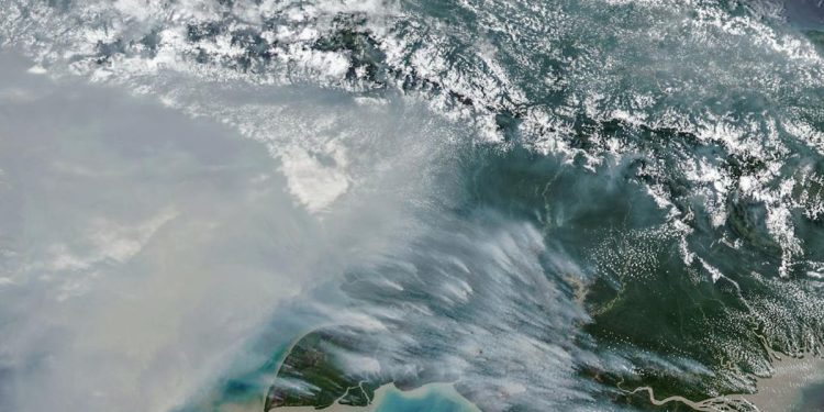 Jumlah Titik Panas Karhutla di Papua Selatan Menurun, Terdapat 65 Hotspot Sisa